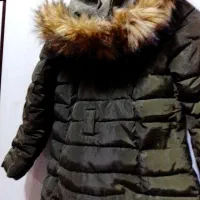 پالتو|لباس|اهواز, پردیس دو|دیوار