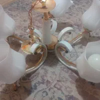لوستر۵شعله لاله سالم|لوستر و چراغ آویز|تهران, سبلان (لشگر)|دیوار