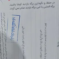 پژوپارس دوگانه دست|خودرو سواری و وانت|مشهد, الهیه|دیوار
