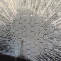 سلام طاوس هندی وسفید