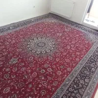 فرش ۱۲ متری|فرش|اردبیل, |دیوار