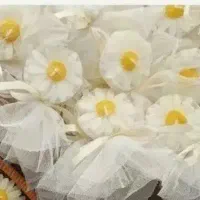 گیف های شمع دستساز بابونه