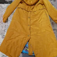 پافر کلاه دار|لباس|اندیشه, اندیشه فاز ۲|دیوار