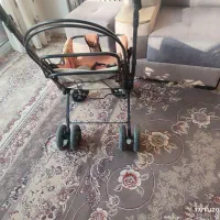 کالسکه دلیجان|کالسکه و لوازم جانبی|اصفهان, جنیران (لادان)|دیوار