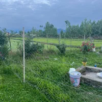 فروش زمین مسکونی ۲۷۵متری مسکونی|فروش زمین و ملک کلنگی|شاندرمن, |دیوار