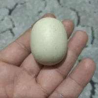 سنگ اسیاب الماس اصلی با تست|کلکسیون اشیاء عتیقه|مشهد, بهمن|دیوار