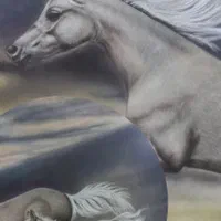 تابلو پارچه مخمل|تابلو، نقاشی، عکس|تهران, جنت‌آباد جنوبی|دیوار