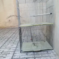 قفس پرنده