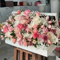 استخدام نیروی خانم