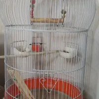 قفس پرنده با وسایل