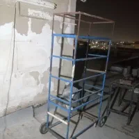 جفت کنی|پرنده|قرچک, مجتمع مسکونی طبیعت|دیوار