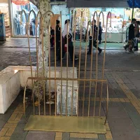رگال لباس