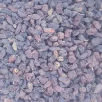 کشمش و لوبیا چیتی|خوردنی و آشامیدنی|پاسارگاد, |دیوار