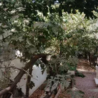 زمین کنتور برق/ کردان سهیلیه سنقرآباد صاحب الزمان|فروش زمین و ملک کلنگی|کرج, گلستان|دیوار