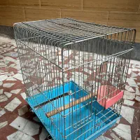 قفس پرنده