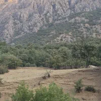 زمین-مسکونی-تجاری-سه-قطعه