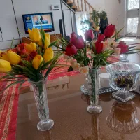 دوعدد گلدان ایتالیایی خیلی شیک و زیبا