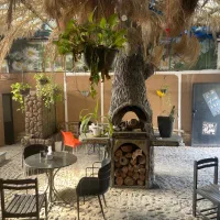 واگذاری یا مشارکت
