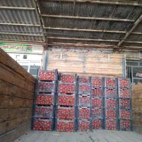 خاور۸۰۸،مدل۱۳۷۵|خودرو سنگین|مشهد, اروند|دیوار