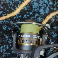 لنسر|ماهیگیری|اهواز, سیاحی(سه راه خرمشهر)|دیوار