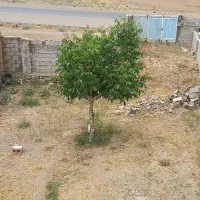 فروش زمین مسکونی در روستای گنجه استان اصفهان|فروش زمین و ملک کلنگی|زنده رود, |دیوار