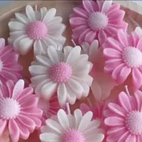 شمع|مجسمه، تندیس، ماکت|کرمان, |دیوار