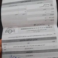 ضامن میشم