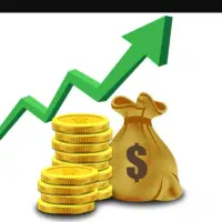 درآمد و پول عالی برای افراد بازنشسته خانه دار