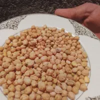 نخود سفید و سیاه .دیم