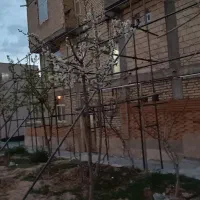 داربست دستمزدی|خدمات پیشه و مهارت|سامان, |دیوار