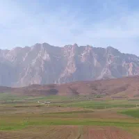 نیروی کار حرفه ای در گلخانه