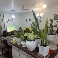 فروش خونه ویلایی ۱۱۰متری گلباران|فروش خانه و ویلا|گرگان, |دیوار