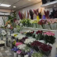 ۲ نفر فروشنده  جهت کار در گل فروشی