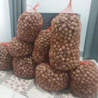 گردو خوب سالم به شرط فروشی بیا ببین بعد بخر