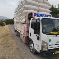 کاه‌گندم‌دیم‌درجه‌یک‌یک|حیوانات مزرعه|اصفهان, مشکین|دیوار
