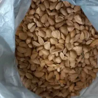مقداری بادام تلخ