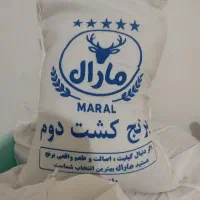 خشکبار