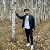 نهال صنوبر درختی با بازدهی بالا برای آینده‌ای روشن