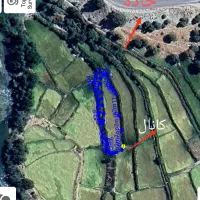 زمین برنجکاری|فروش دفتر صنعتی، کشاورزی، تجاری|چیتاب, |دیوار