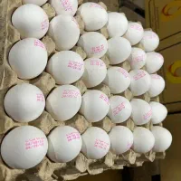 تخم مرغ سفید|خوردنی و آشامیدنی|قزوین, |دیوار