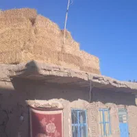 پرس گندم|لوازم جانبی حیوانات|هلالی, |دیوار