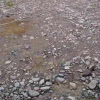 زمین-83متری-اکبراباد-کوچه-احدی