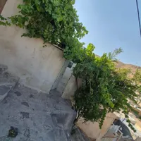 اجاره خانه ویلایی ۸۰ متری ۳ خوابه در سعدیه شمالی|اجارهٔ خانه و ویلا|شیراز, سعدیه شمالی|دیوار