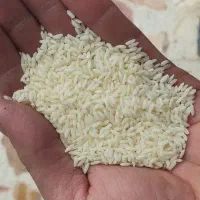 فروش برنج