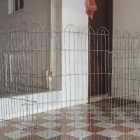 قفس و پد دست شویی سگ