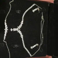 سرویس نقره