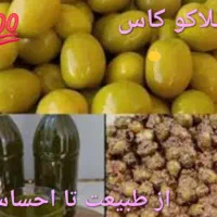 زیتون درجه یک رودبار گیلان|خوردنی و آشامیدنی|رودبار, |دیوار