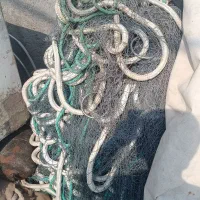 قیمت 800|ماهیگیری|بندرلنگه, |دیوار