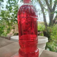 شربت گل محمدی