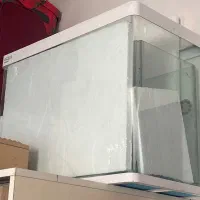 آکواریوم ماهی عروس هلندی و نی هفت بند